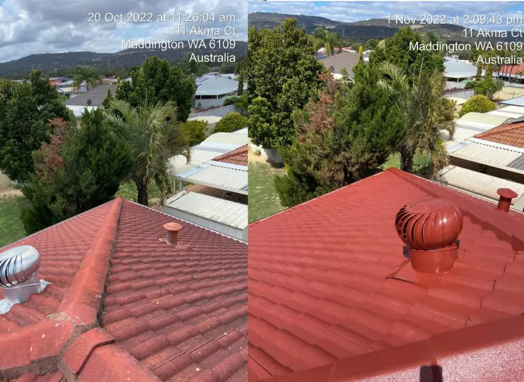 roof-paint-02