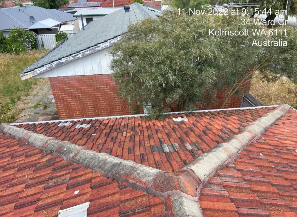 roof-paint-03