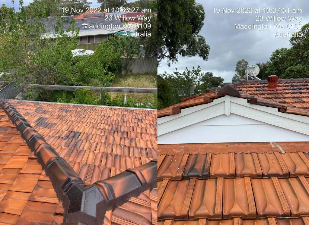 roof-paint-04